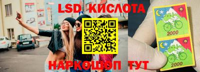 молекула духа Пугачёв