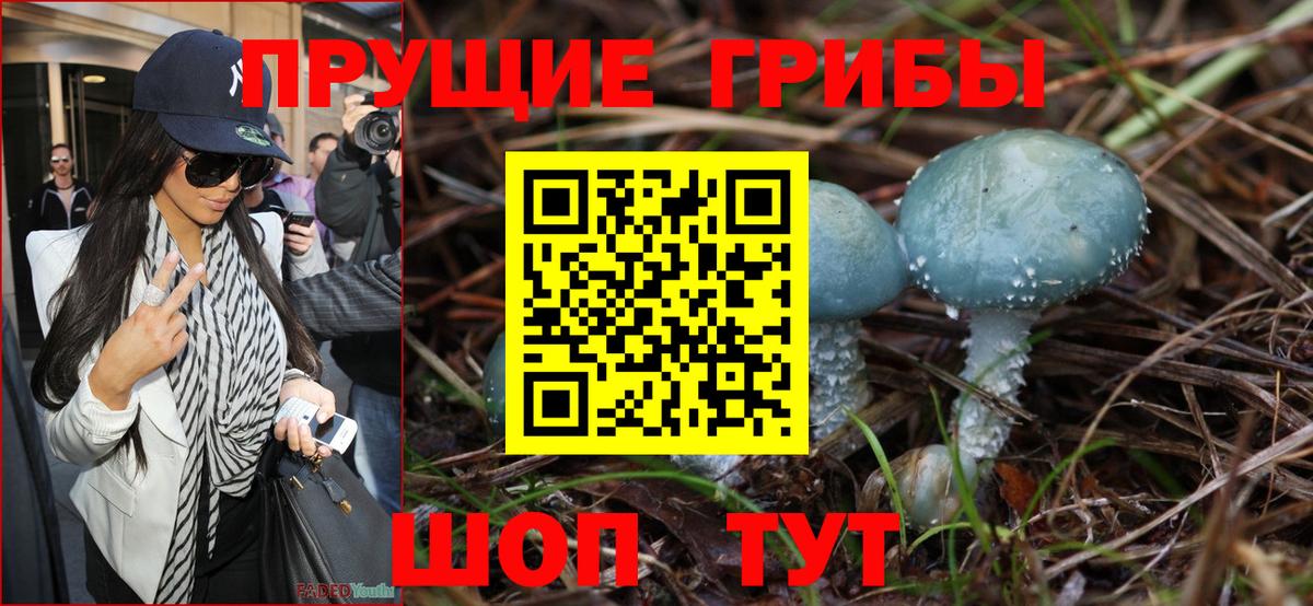 Галлюциногенные грибы прущие грибы  Галлюциногенные грибы Cubensis  Полысаево  Вход с VPN 
