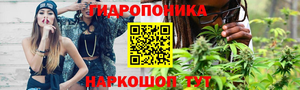 Каннабис планчик  Конопля семена  Полысаево  Каннабис THC 21%  Вход с VPN 